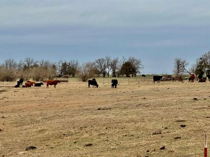 Undeveloped Land in Kingfisher County, Oklahoma