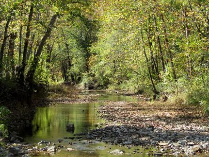 Land in Texas County, Missouri