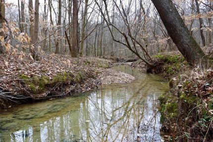 Land in Poinsett County, Arkansas