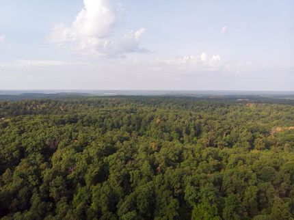 Timberland Property in McDonald County, Missouri