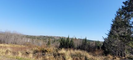 Waterfront Property in Aroostook County, Maine