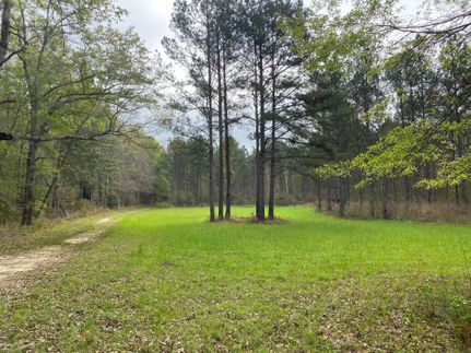 Recreational Property in Macon County, Alabama