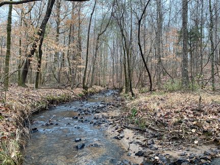 Commercial Property in Tallapoosa County, Alabama