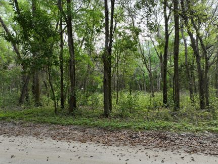 Recreational Property in Levy County, Florida