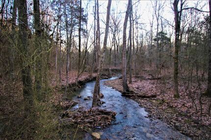Homesite in Cleburne County, Arkansas