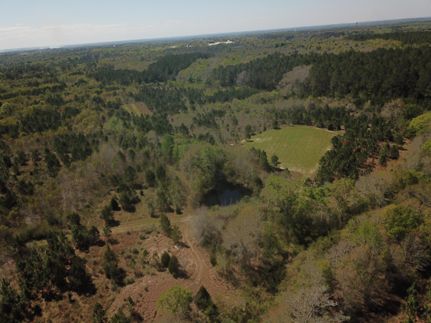 Hunting Property in Geneva County, Alabama