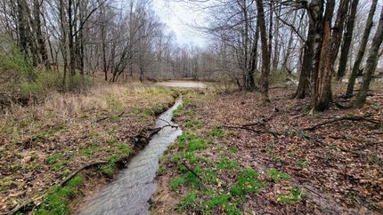 Timberland Property in Jackson County, Indiana