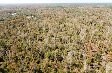 Farm and Ranch in Allen Parish, Louisiana