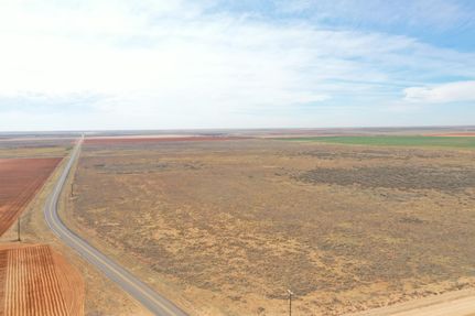 Undeveloped Land in Terry County, Texas