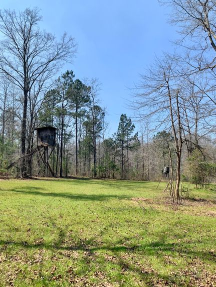 Undeveloped Land in Coweta County, Georgia