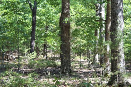 Undeveloped Land in Boone County, Missouri
