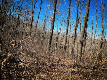 Recreational Property in Benton County, Missouri