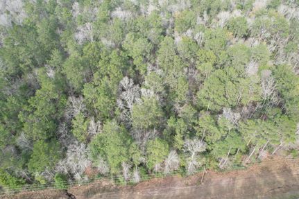 Undeveloped Land in Newton County, Texas