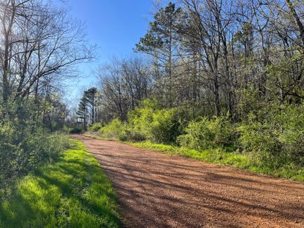 Farm and Ranch in Franklin County, Alabama