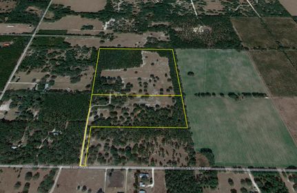 Timberland Property in Levy County, Florida