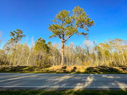 Recreational Property in Williamsburg County, South Carolina