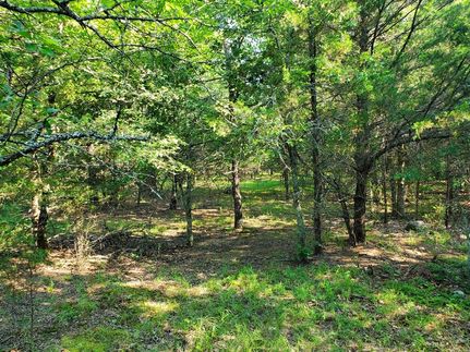 Undeveloped Land in Pushmataha County, Oklahoma