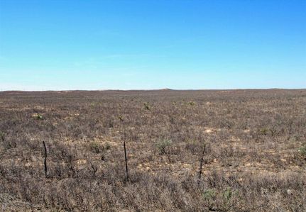 Undeveloped Land in Cochran County, Texas