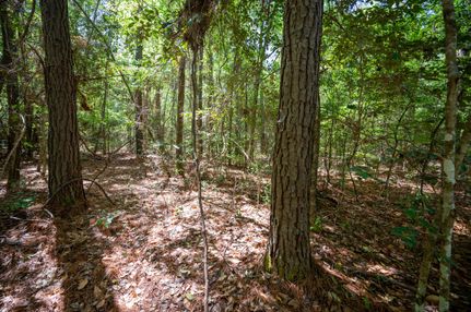 Farm and Ranch in Hardin County, Texas