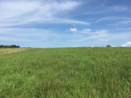 Undeveloped Land in Williamson County, Tennessee