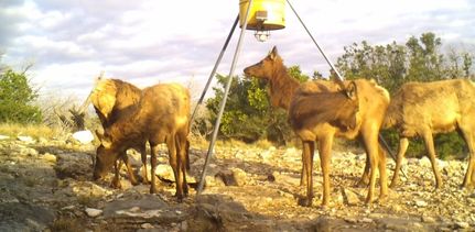 Commercial Property in Edwards County, Texas