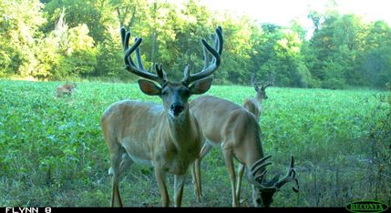 Recreational Property in Caldwell County, Missouri