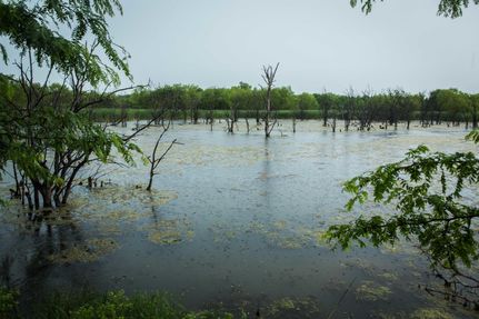 Land in Coffey County, Kansas