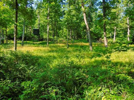Hunting Property in Morgan County, Missouri