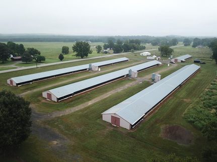 Commercial Property in Yell County, Arkansas