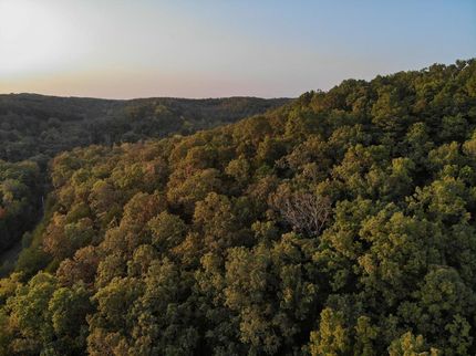 Farm and Ranch in Christian County, Missouri