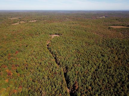 Timberland Property in Sharp County, Arkansas