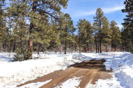 Homesite in Archuleta County, Colorado