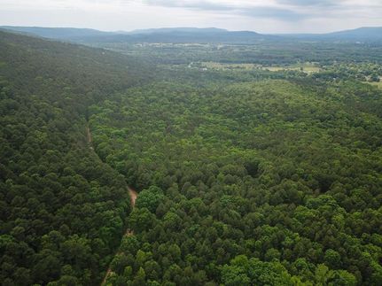 Hunting Property in Yell County, Arkansas