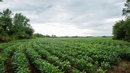 Land in Worth County, Missouri