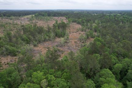 Undeveloped Land in Newton County, Texas