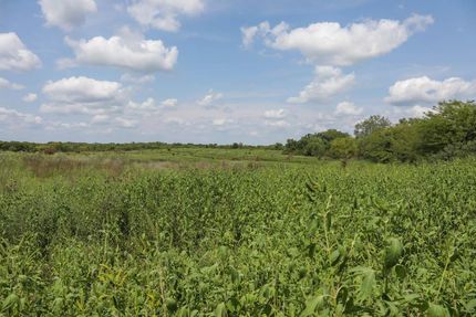 Land in Livingston County, Missouri