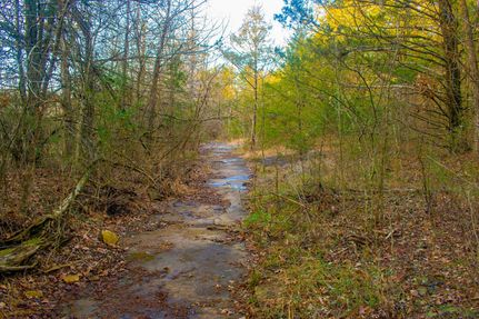 Undeveloped Land in Stone County, Missouri