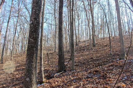 Land in Taney County, Missouri