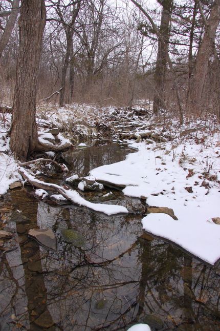 Timberland Property in Cass County, Missouri