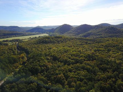 Farm and Ranch in Marion County, Arkansas