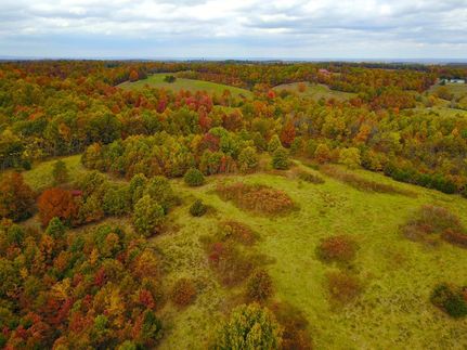 Farm and Ranch in Marion County, Arkansas