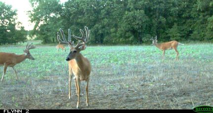 Farm and Ranch in Caldwell County, Missouri