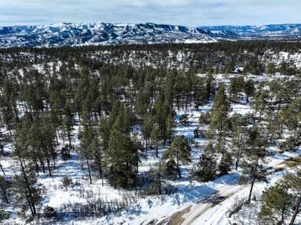 Recreational Property in Archuleta County, Colorado