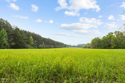 Farm and Ranch in Polk County, Texas