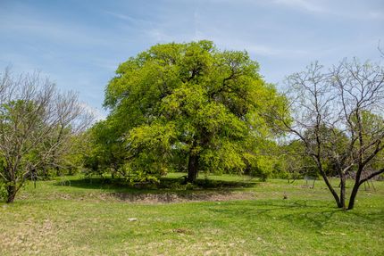 Commercial Property in Mills County, Texas