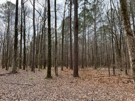 Undeveloped Land in Shelby County, Alabama
