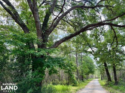 Land in Baldwin County, Alabama