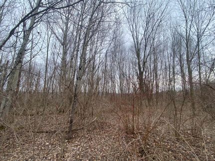 Timberland Property in Onondaga County, New York