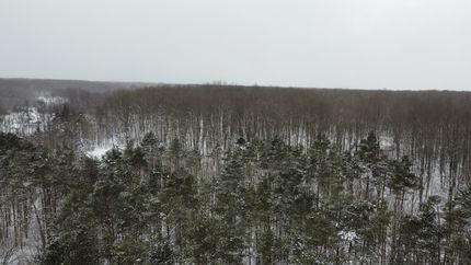 Farm and Ranch in Antrim County, Michigan
