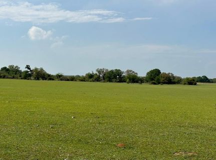 Undeveloped Land in Comanche County, Texas